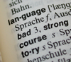 dictionary, language